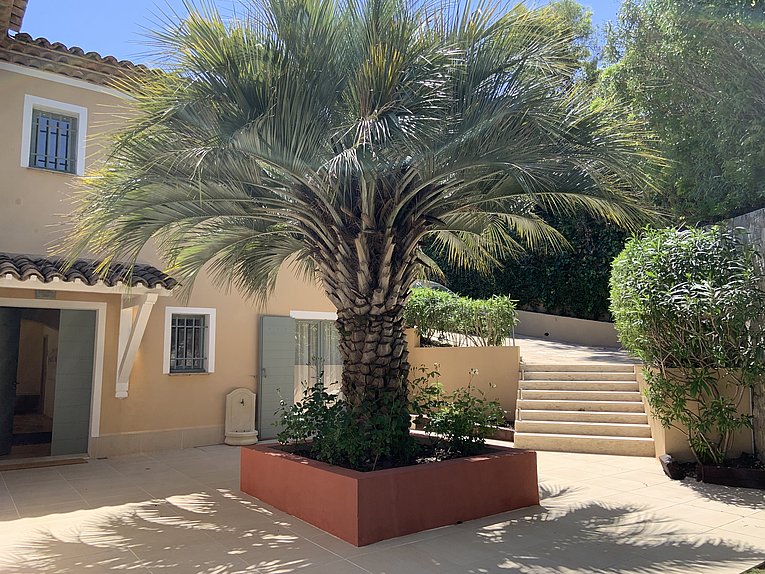 Althoff Belrose Villa Rental in St. Tropez Beau Rivage Courtyard Hauptplatz im Sommer mit Bäumen