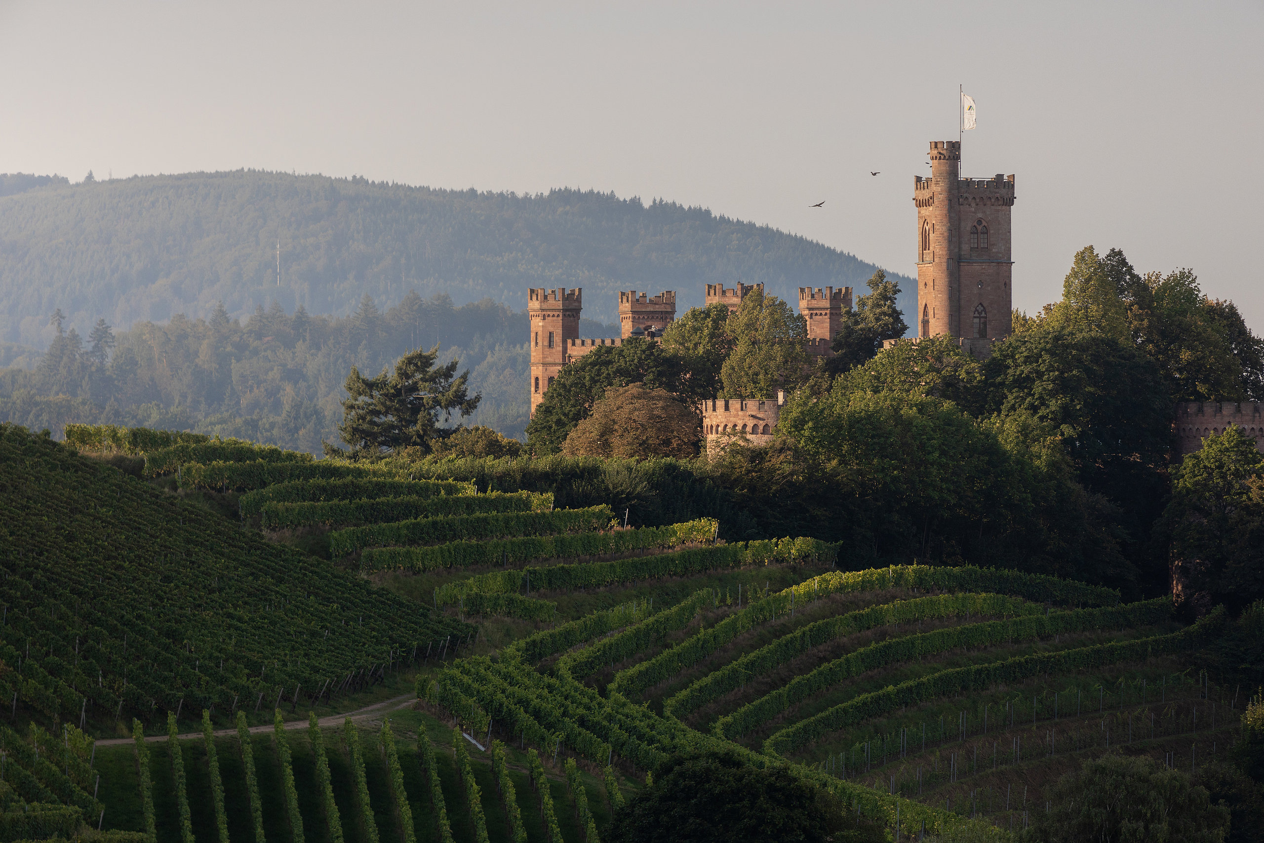 Weingut Schloss Ortenberg
